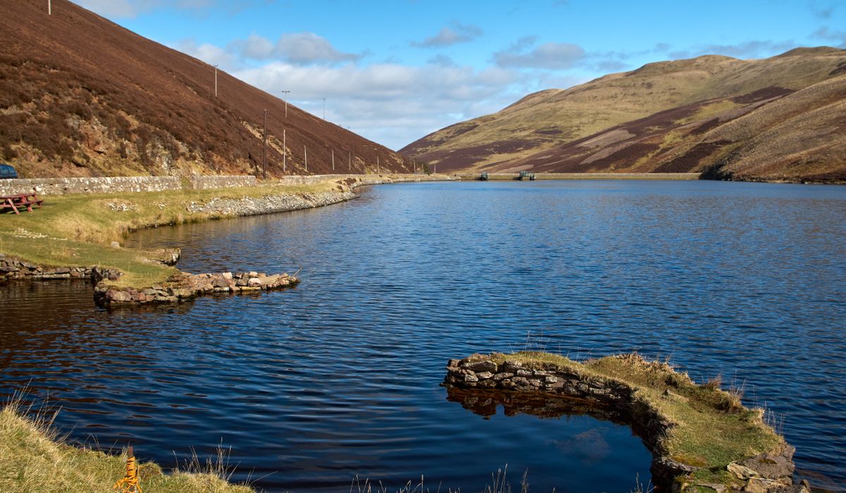 Driving Scenic Routes Through the National Park