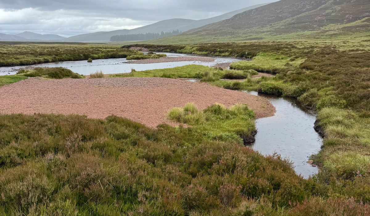 Pubs Serving Hearty Meals After Hill Days
