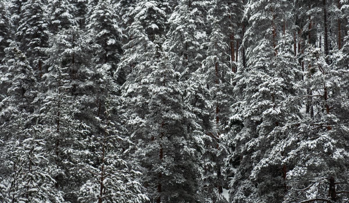 Reading Mountain Weather Forecasts Before You Set Out