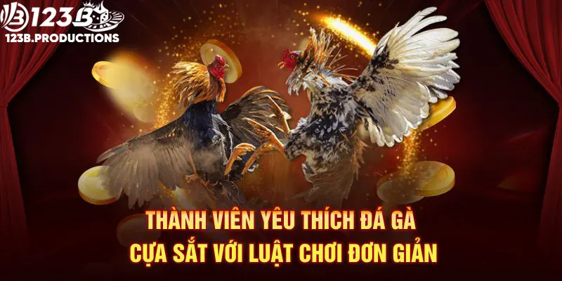 Thành viên yêu thích hình thức cựa sắt với luật chơi đơn giản tại đá gà 123B